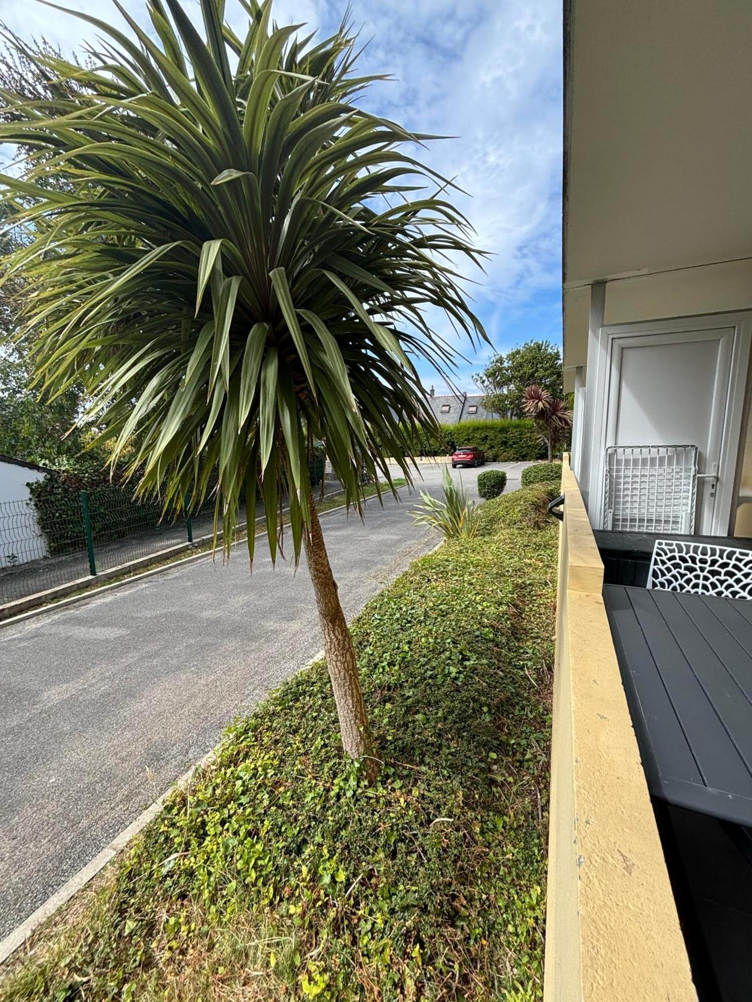 Appartement Studio 4 Personnes Dans Residence Avec Piscine กีเบอรง ภายนอก รูปภาพ